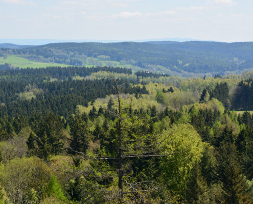 Geopark Smrčiny
