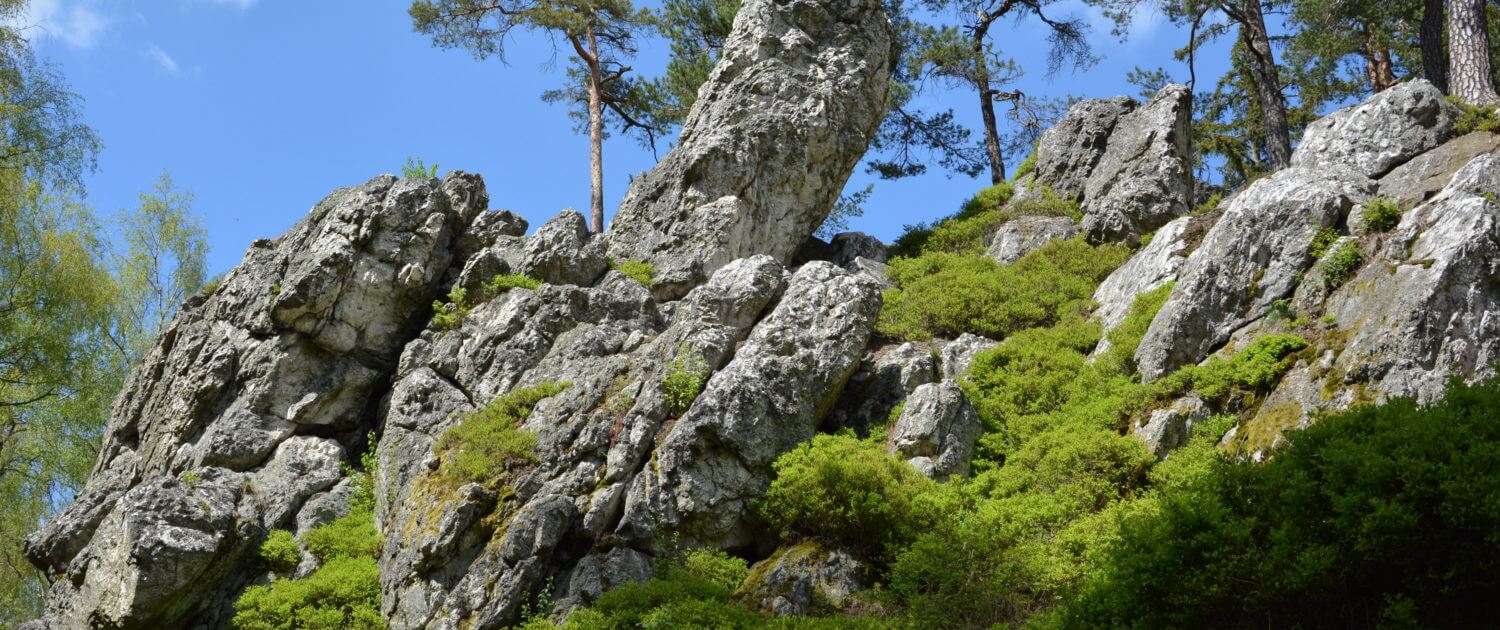 Přírodní park Smrčiny
